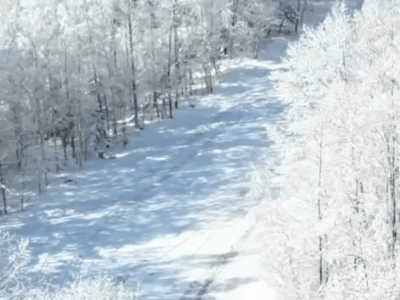 DE77402A-626E-4DD1-B1DF-65BE2D6761E6.gif DE77402A-626E-4DD1-B1DF-65BE2D6761E6.gif