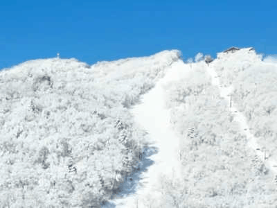 99055CCB-E5DF-4461-84C3-BA03B3FCE767.gif 99055CCB-E5DF-4461-84C3-BA03B3FCE767.gif