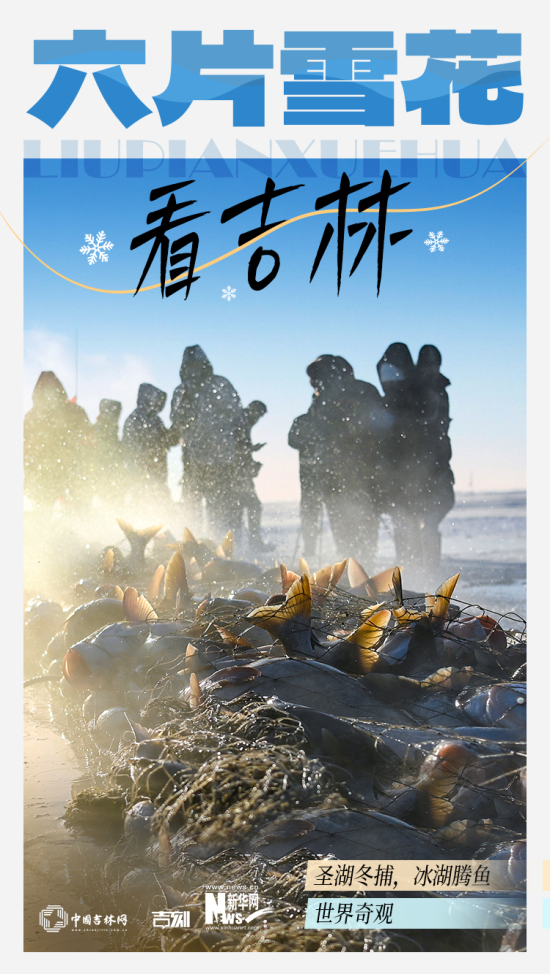 微信图片_20241223135012.jpg 微信图片_20241223135012.jpg