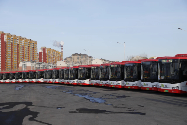 IMG_2875.jpeg IMG_2875.jpeg