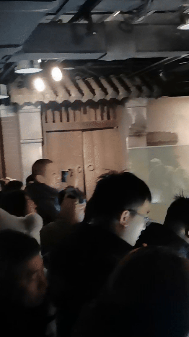 长影动1.gif 长影动1.gif