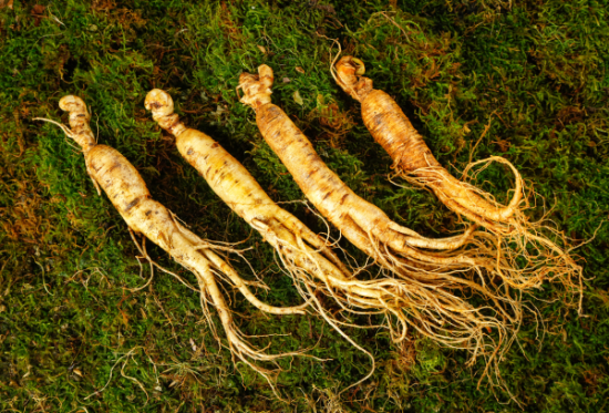 ZOQSAX5GCGH41I@UQKNS0SY.png ZOQSAX5GCGH41I@UQKNS0SY.png