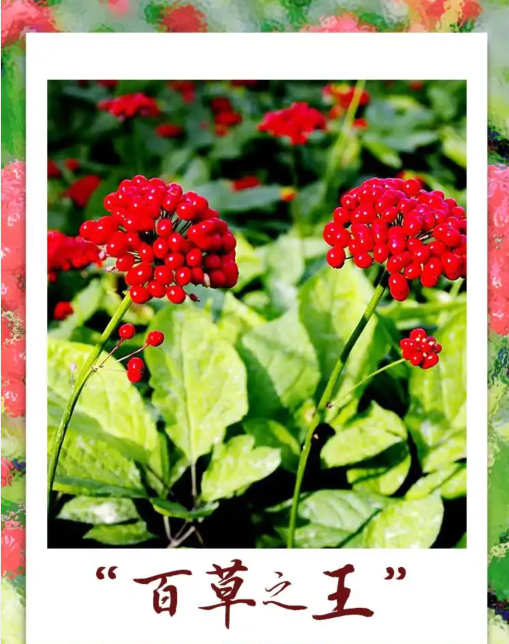 3CMI(IKBUSIFSE3SM}%OG41.png 3CMI(IKBUSIFSE3SM}%OG41.png