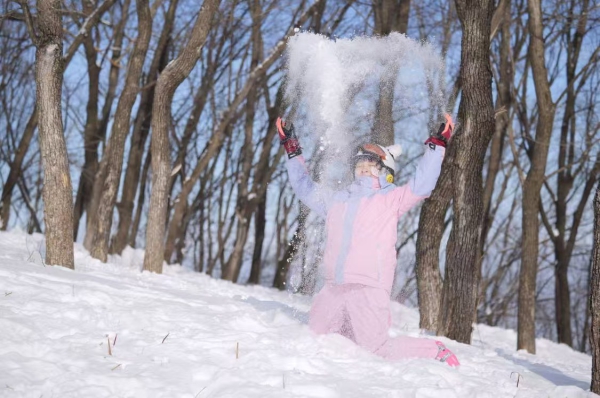 图片4.jpg 图片4.jpg