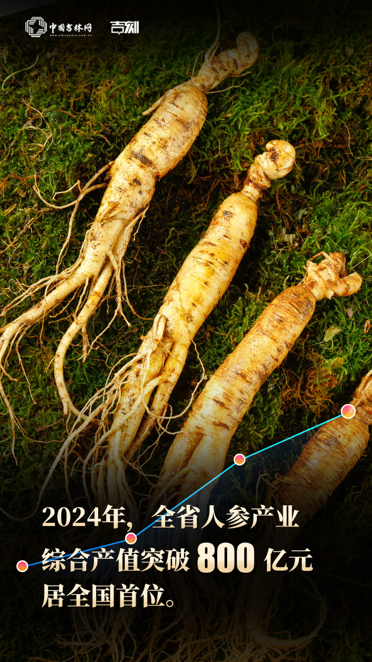 人参数据02.jpg
