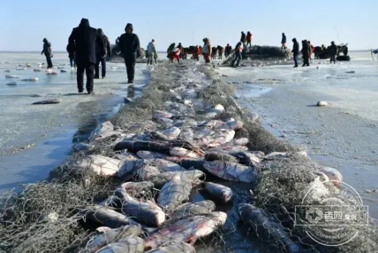 W020250206276332010262.jpg W020250206276332010262.jpg