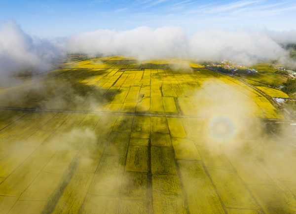 图虫创意-1600357410670510089.jpeg 图虫创意-1600357410670510089.jpeg