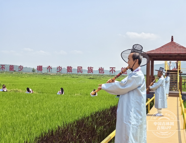 IMG_20240716_112012.jpg IMG_20240716_112012.jpg