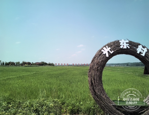 IMG_20240716_111721.jpg IMG_20240716_111721.jpg