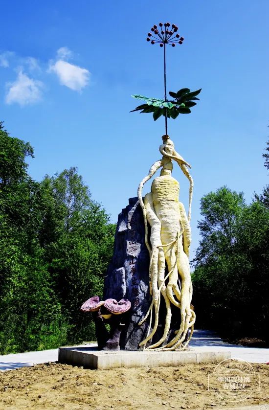 W020240808666624441450.jpeg W020240808666624441450.jpeg