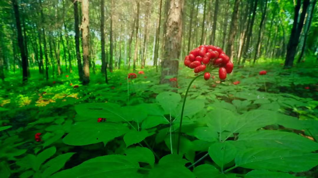 微信图片_20250225100207.jpg 微信图片_20250225100207.jpg