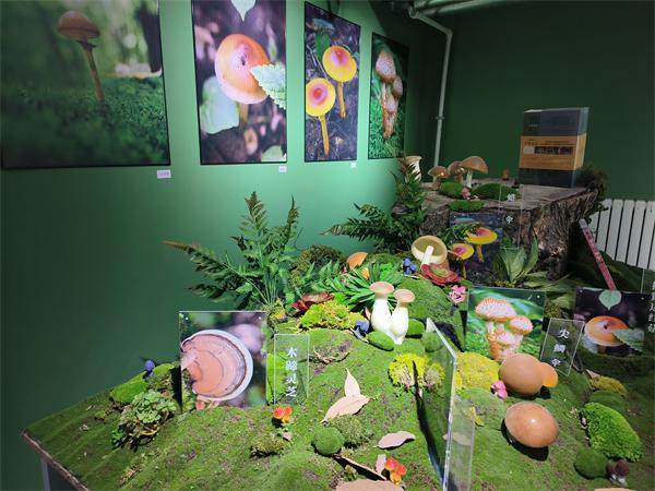 微信图片_20250305153830.jpg 微信图片_20250305153830.jpg