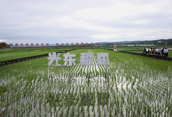 13B89694A1A2F1C78AB9404BC8E25D09.jpg 13B89694A1A2F1C78AB9404BC8E25D09.jpg