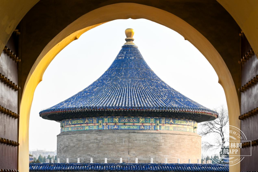 图片11.png 图片11.png