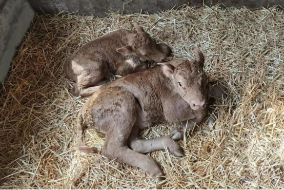 2E29094588DDAA4E4D7309D1EE2_3C8C02F1_C89C3.png 2E29094588DDAA4E4D7309D1EE2_3C8C02F1_C89C3.png