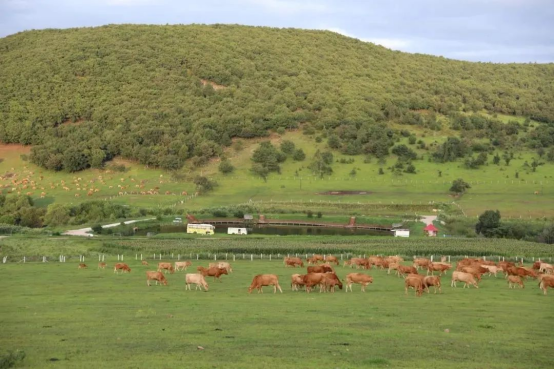 7498DE2571015936EBB2003B2E7_2DE2DA82_C89C3.png 7498DE2571015936EBB2003B2E7_2DE2DA82_C89C3.png