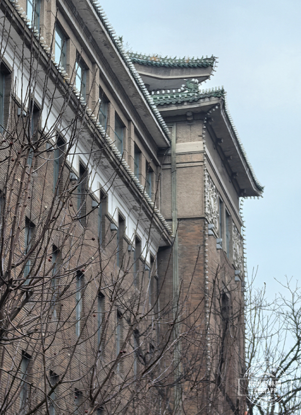 297291.jpg 297291.jpg