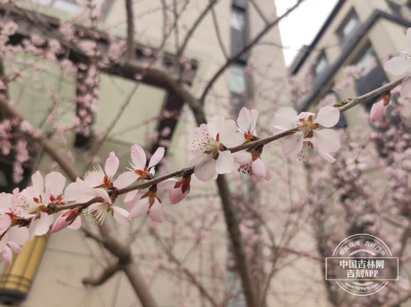 微信图片_20250411144403.jpg 微信图片_20250411144403.jpg