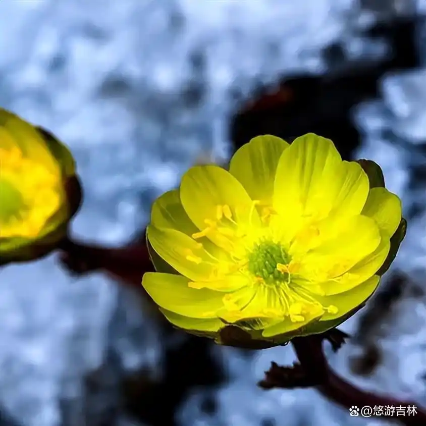 JG_E4(FTKDTGL1E5@WB1UVS.png JG_E4(FTKDTGL1E5@WB1UVS.png