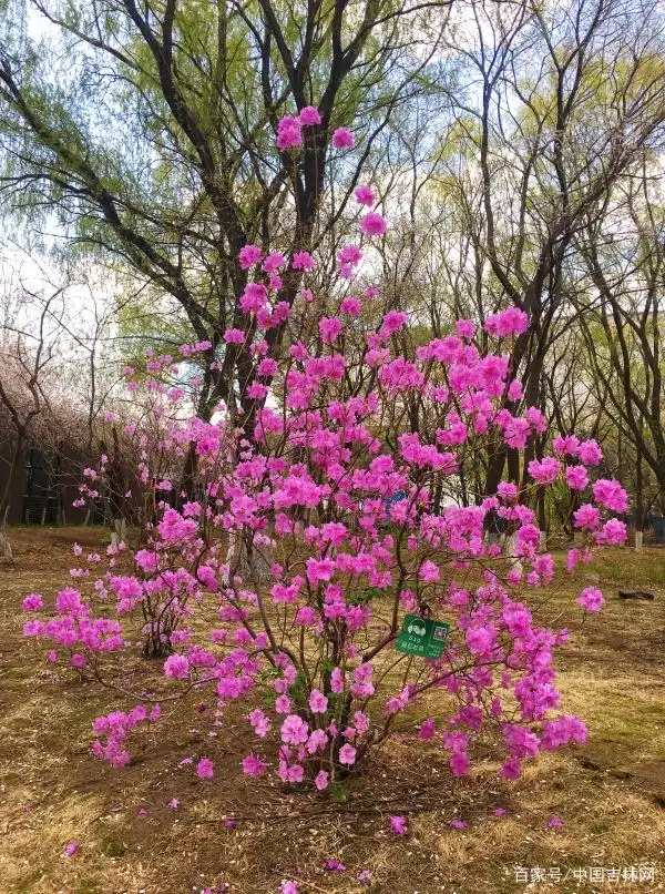 3@PIL0AIJY0D{SXHUR%`60B.png 3@PIL0AIJY0D{SXHUR%`60B.png