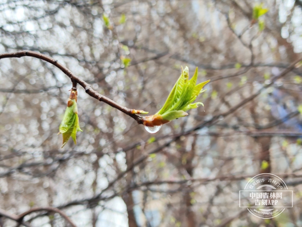 微信图片_20250412164512.jpg 微信图片_20250412164512.jpg