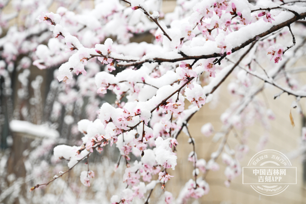 罗浩1.jpg 罗浩1.jpg