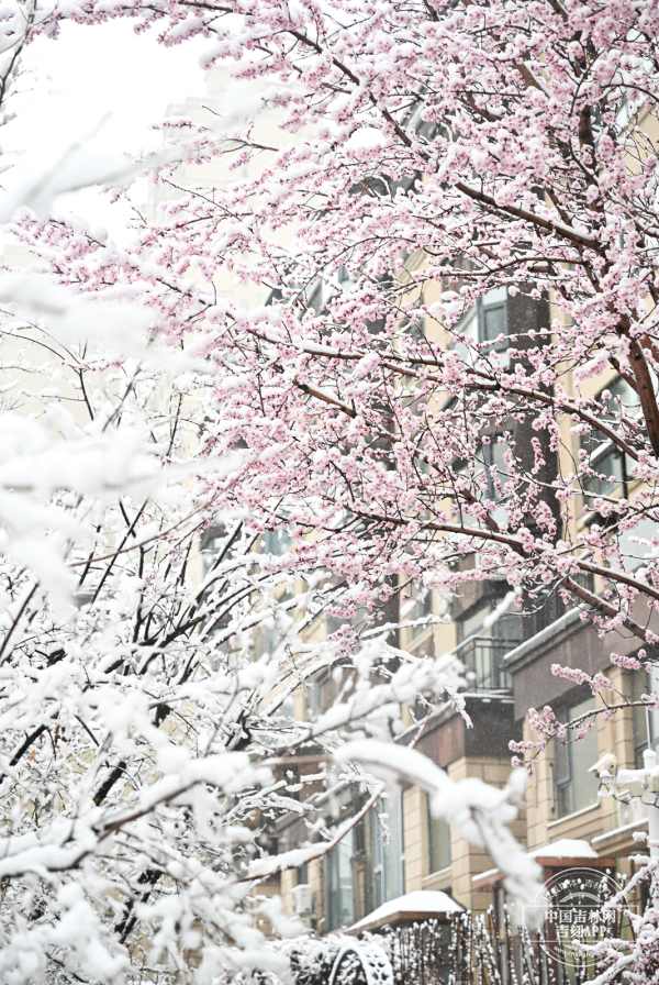 罗浩2.jpg 罗浩2.jpg