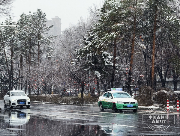 王书桥.jpg 王书桥.jpg