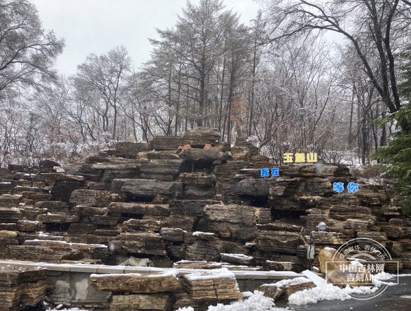 微信图片_20250413102859.jpg 微信图片_20250413102859.jpg