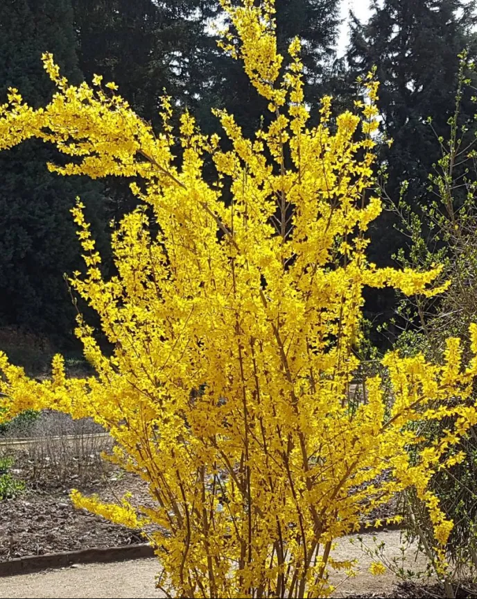 K87(VUT{R(H73SQTCUK6%@G.png K87(VUT{R(H73SQTCUK6%@G.png