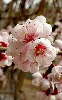 69%SN0FI`V}`T`VWO)5SRGH.png 69%SN0FI`V}`T`VWO)5SRGH.png