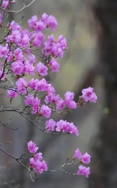 $I1}5QP{UL~I31(GN7N28KG.png $I1}5QP{UL~I31(GN7N28KG.png