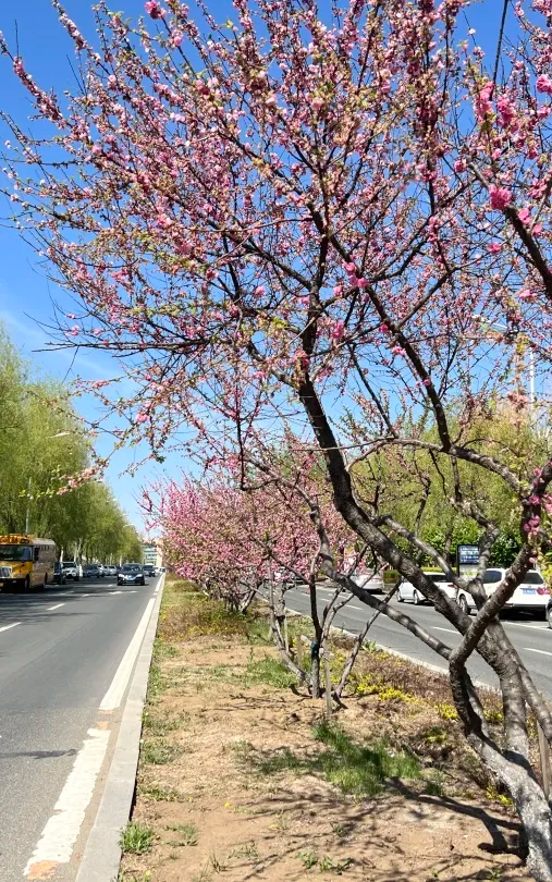 GYAB`ML4DQV1HWM{WQDEEHV.png GYAB`ML4DQV1HWM{WQDEEHV.png