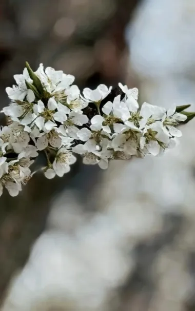 LD6_0LRKY40[UH`RP2}M7NH.png LD6_0LRKY40[UH`RP2}M7NH.png