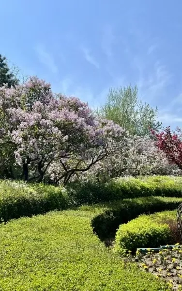 (MSG5G0S~G)A$6~XUHN``8Q.png (MSG5G0S~G)A$6~XUHN``8Q.png