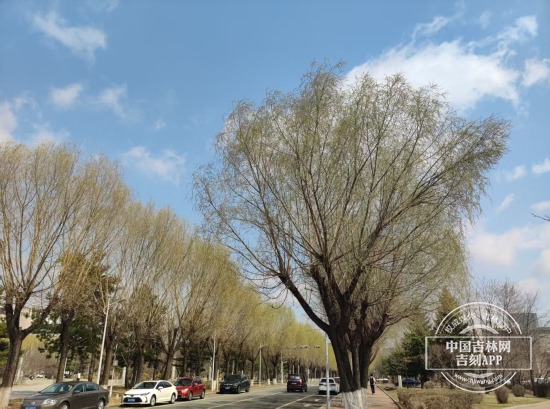 微信图片_20250416143602.jpg 微信图片_20250416143602.jpg