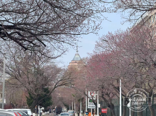 微信图片_20250416180426.jpg 微信图片_20250416180426.jpg