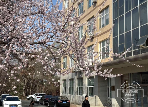 微信图片_20250416180430.jpg 微信图片_20250416180430.jpg