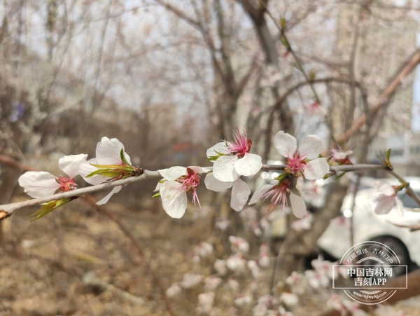 微信图片_20250417141824.jpg 微信图片_20250417141824.jpg