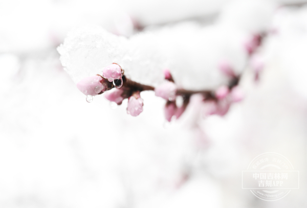 12488a825c10405f9be4dcfad2c2e41d_W020250413320622533134.jpg 12488a825c10405f9be4dcfad2c2e41d_W020250413320622533134.jpg