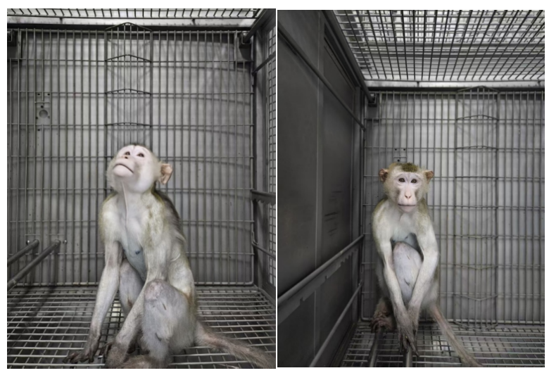 微信图片_20250417154132.png 微信图片_20250417154132.png