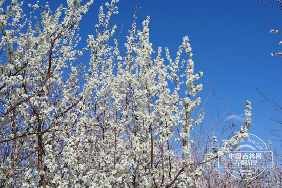 mmexport1744965810274.jpg mmexport1744965810274.jpg