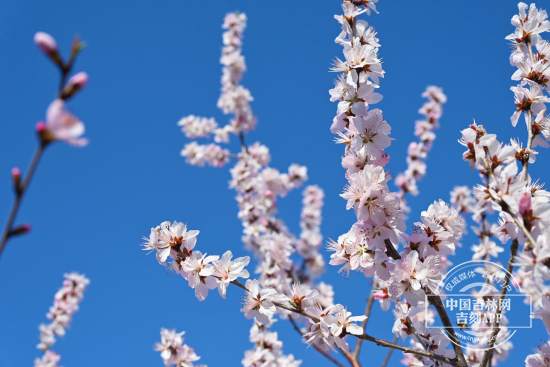 mmexport1744965815842.jpg mmexport1744965815842.jpg