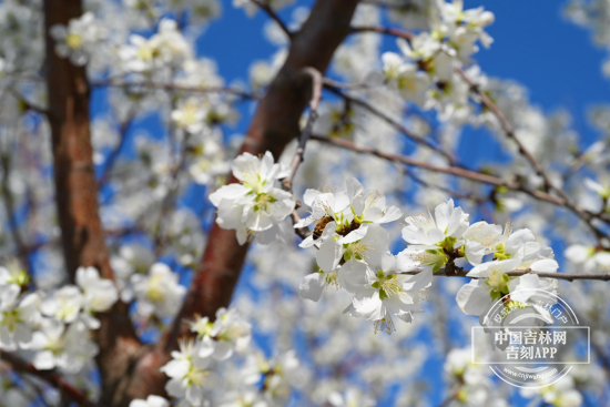 mmexport1744965812393.jpg mmexport1744965812393.jpg