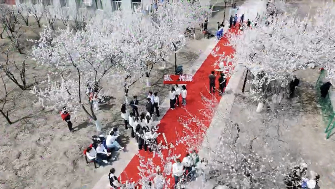 0A90A615-45F5-49E4-8844-8593A75DF294.jpeg 0A90A615-45F5-49E4-8844-8593A75DF294.jpeg