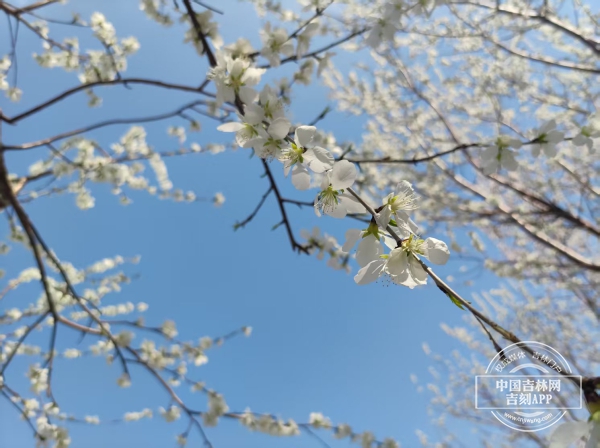 微信图片_20250420154056.jpg 微信图片_20250420154056.jpg