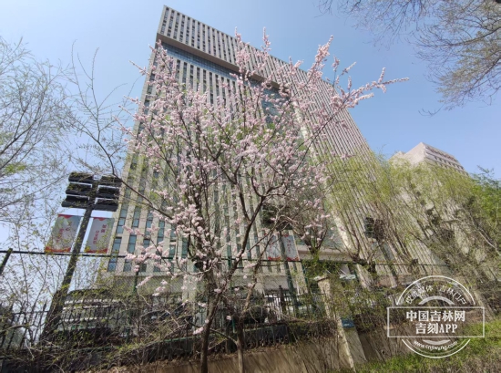 微信图片_20250423134656.jpg 微信图片_20250423134656.jpg