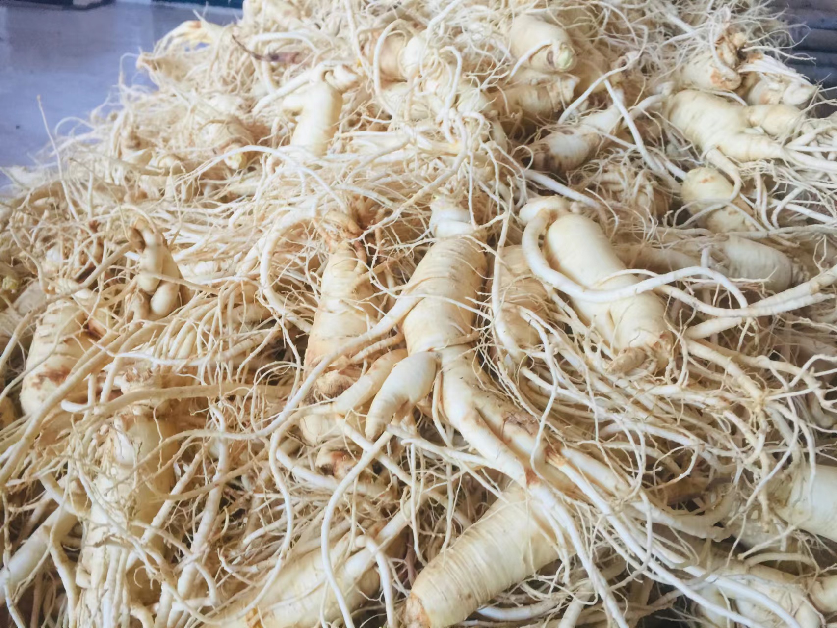 mmexport1745387758794.jpg mmexport1745387758794.jpg