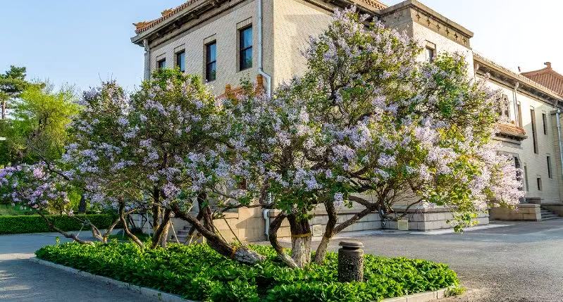 微信图片_20250423155700.jpg 微信图片_20250423155700.jpg