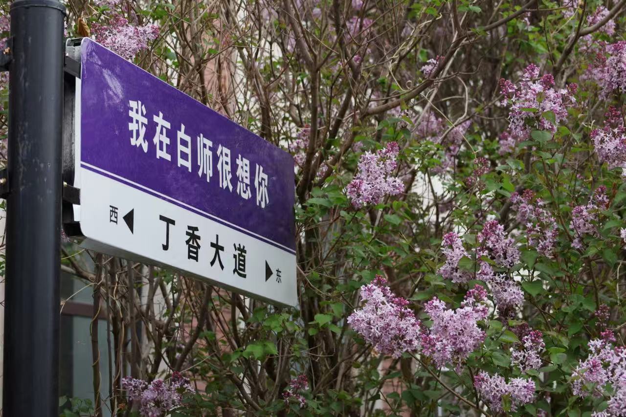 微信图片_20250423155650.jpg 微信图片_20250423155650.jpg